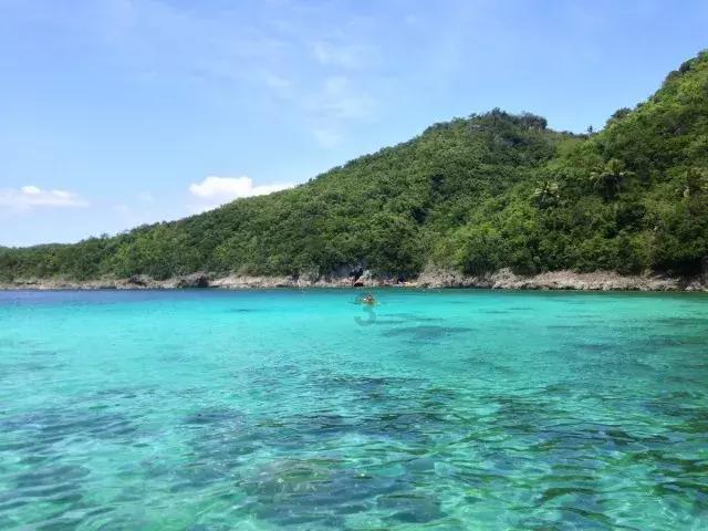 小猪仔要回家